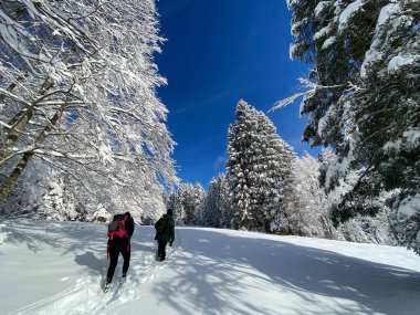 İsviçre Alpleri, Schwaegalp dağ geçidi üzerinde yürüyen yürüyüşçüler ve yürüyüşçüler - Appenzell Ausserrhoden Kantonu, İsviçre / Schweiz