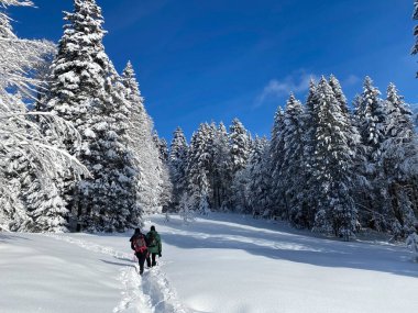 İsviçre Alpleri, Schwaegalp dağ geçidi üzerinde yürüyen yürüyüşçüler ve yürüyüşçüler - Appenzell Ausserrhoden Kantonu, İsviçre / Schweiz