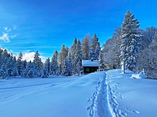 Cabanes Montagne Alpines Suisses Idylliques Vêtues Vêtements Hiver Une Couverture — Photo