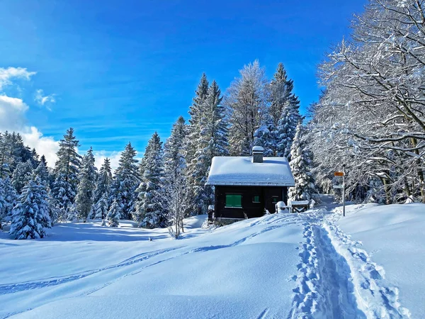 Cabanes Montagne Alpines Suisses Idylliques Vêtues Vêtements Hiver Une Couverture — Photo