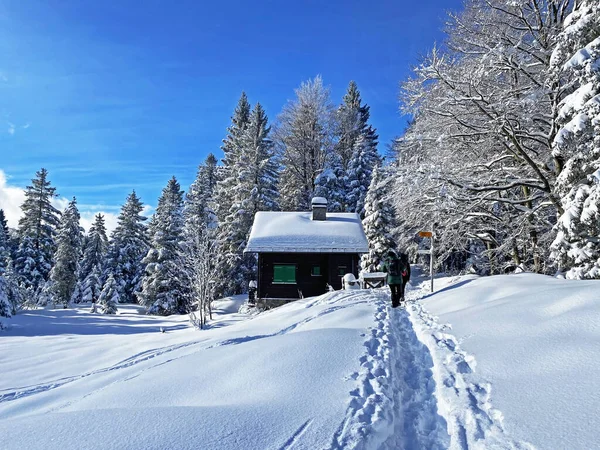 瑞士雅致的高山小屋 身穿冬衣 头戴新鲜的雪衣 施瓦加普山口 瑞士阿彭策尔州 — 图库照片