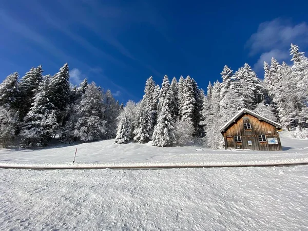 Cabanes Montagne Alpines Suisses Idylliques Vêtues Vêtements Hiver Une Couverture — Photo