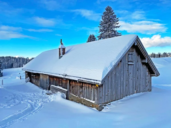 冬服を着た牧歌的なスイスの高山の山小屋と新鮮な雪に覆われたシュヴァエガルプの山小屋 カントン アペンツェル アウステルローデン スイス — ストック写真