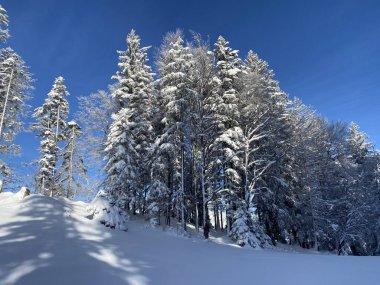 İsviçre Alpleri 'nde kış karları kaplanmış gerçekçi olamayacak kadar güzel dağlık tepecikler, Schwaegalp dağ geçidi - Appenzell Ausserrhoden Kantonu, İsviçre / Schweiz