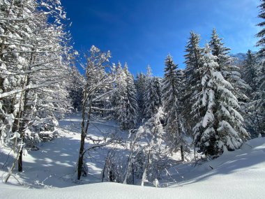 İsviçre Alpleri 'nde kış karları kaplanmış gerçekçi olamayacak kadar güzel dağlık tepecikler, Schwaegalp dağ geçidi - Appenzell Ausserrhoden Kantonu, İsviçre / Schweiz