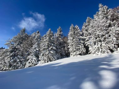 İsviçre Alpleri 'nde kış karları kaplanmış gerçekçi olamayacak kadar güzel dağlık tepecikler, Schwaegalp dağ geçidi - Appenzell Ausserrhoden Kantonu, İsviçre / Schweiz