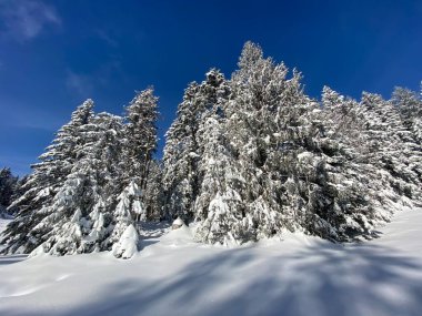 İsviçre Alpleri 'nde kış karları kaplanmış gerçekçi olamayacak kadar güzel dağlık tepecikler, Schwaegalp dağ geçidi - Appenzell Ausserrhoden Kantonu, İsviçre / Schweiz