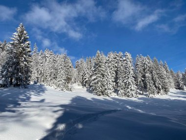 İsviçre Alpleri 'nde kış karları kaplanmış gerçekçi olamayacak kadar güzel dağlık tepecikler, Schwaegalp dağ geçidi - Appenzell Ausserrhoden Kantonu, İsviçre / Schweiz