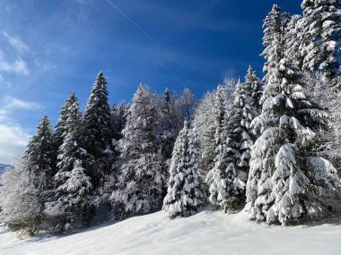 İsviçre Alpleri 'nde kış karları kaplanmış gerçekçi olamayacak kadar güzel dağlık tepecikler, Schwaegalp dağ geçidi - Appenzell Ausserrhoden Kantonu, İsviçre / Schweiz