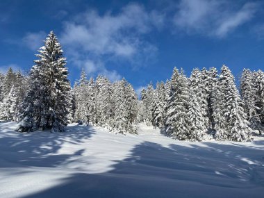 İsviçre Alpleri 'nde kış karları kaplanmış gerçekçi olamayacak kadar güzel dağlık tepecikler, Schwaegalp dağ geçidi - Appenzell Ausserrhoden Kantonu, İsviçre / Schweiz