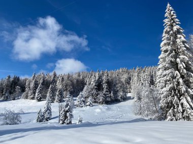İsviçre Alpleri 'nde kış karları kaplanmış gerçekçi olamayacak kadar güzel dağlık tepecikler, Schwaegalp dağ geçidi - Appenzell Ausserrhoden Kantonu, İsviçre / Schweiz