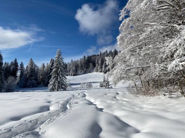 İsviçre Alpleri 'nde kış karları kaplanmış gerçekçi olamayacak kadar güzel dağlık tepecikler, Schwaegalp dağ geçidi - Appenzell Ausserrhoden Kantonu, İsviçre / Schweiz