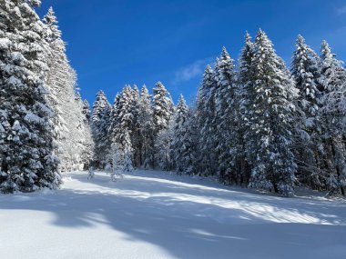 İsviçre Alpleri 'nde kış karları kaplanmış gerçekçi olamayacak kadar güzel dağlık tepecikler, Schwaegalp dağ geçidi - Appenzell Ausserrhoden Kantonu, İsviçre / Schweiz