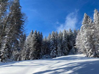 İsviçre Alpleri, Schwaegalp dağ geçidi - Appenzell Ausserrhoden Kantonu, İsviçre / Schweiz
