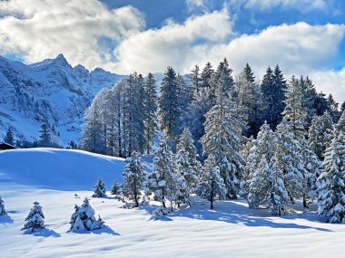 İsviçre Alpleri 'nin kalbinde, Schwaegalp dağ geçidi - Appenzell Ausserrhoden Kantonu, İsviçre / Schweiz