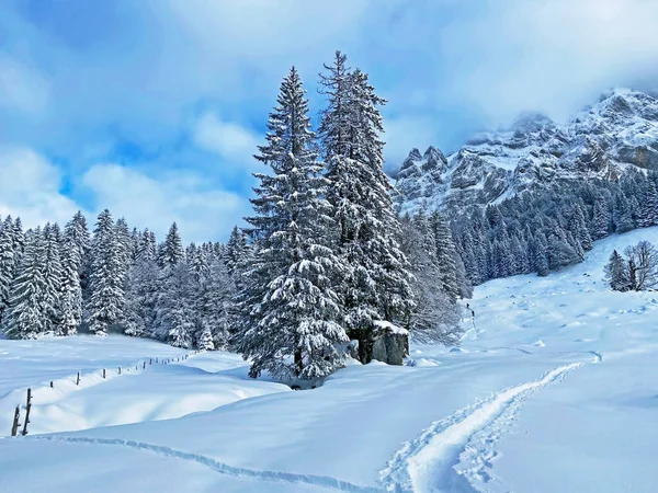 Prachtige Winterwandelwegen Sporen Frisse Alpiene Sneeuwbedekking Van Zwitserse Alpen Bergpas — Stockfoto