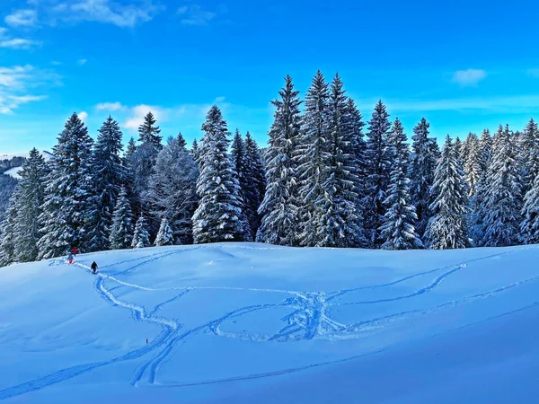 素晴らしい冬のハイキングコースとスイスアルプスの新鮮な高山の雪の上の痕跡 シュヴァエガルプ山の峠 カントン アウステルローデン スイス スイス — ストック写真