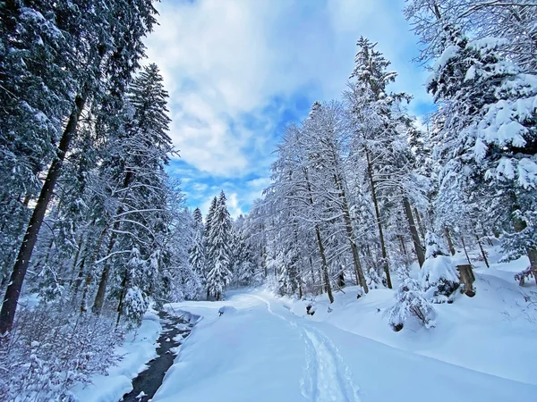 İsviçre Alpleri, Schwaegalp dağ geçidi - Appenzell Ausserrhoden Kantonu, İsviçre / Schweiz