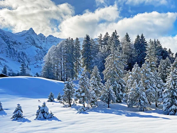 İsviçre Alpleri 'nin kalbinde, Schwaegalp dağ geçidi - Appenzell Ausserrhoden Kantonu, İsviçre / Schweiz