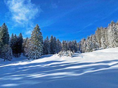 İsviçre Alpleri 'nin kalbinde, Schwaegalp dağ geçidi - Appenzell Ausserrhoden Kantonu, İsviçre / Schweiz