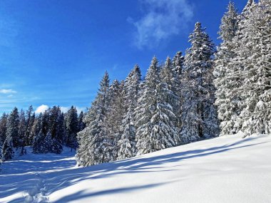 İsviçre Alpleri 'nin kalbinde, Schwaegalp dağ geçidi - Appenzell Ausserrhoden Kantonu, İsviçre / Schweiz