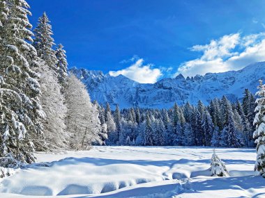 İsviçre Alpleri 'nin kalbinde, Schwaegalp dağ geçidi - Appenzell Ausserrhoden Kantonu, İsviçre / Schweiz