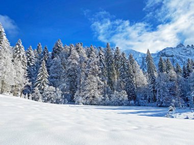 İsviçre Alpleri 'nin kalbinde, Schwaegalp dağ geçidi - Appenzell Ausserrhoden Kantonu, İsviçre / Schweiz