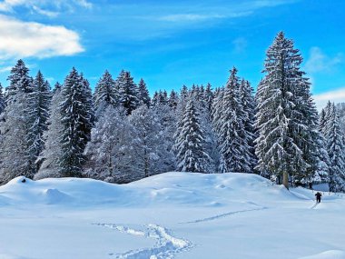 İsviçre Alpleri 'nin kalbinde, Schwaegalp dağ geçidi - Appenzell Ausserrhoden Kantonu, İsviçre / Schweiz