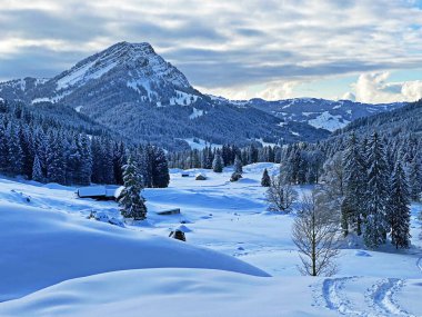 İsviçre Alpleri 'nin kalbinde, Schwaegalp dağ geçidi - Appenzell Ausserrhoden Kantonu, İsviçre / Schweiz