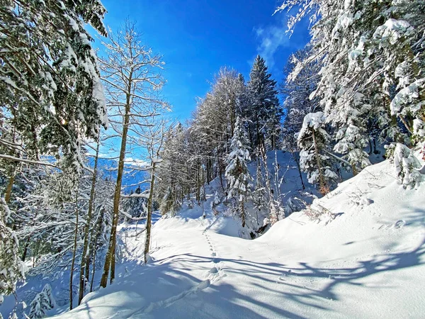 Fantastische Perfecte Natuurlijke Winterse Sfeer Oudejaarsavond Het Hart Van Zwitserse — Stockfoto