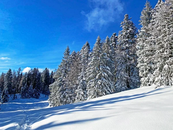 Fantastische Perfecte Natuurlijke Winterse Sfeer Oudejaarsavond Het Hart Van Zwitserse — Stockfoto