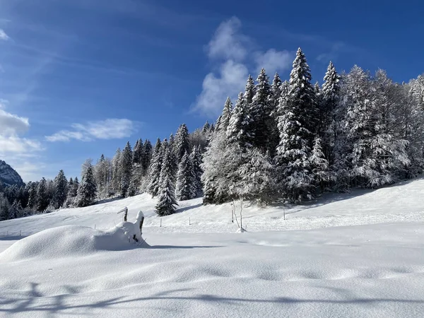 スイスアルプスの中心部にある幻想的で完璧な自然の大晦日の冬の山の雰囲気 Schwaegalp山のパス カントン アッペンツェル アウセルローデン スイス スイス — ストック写真