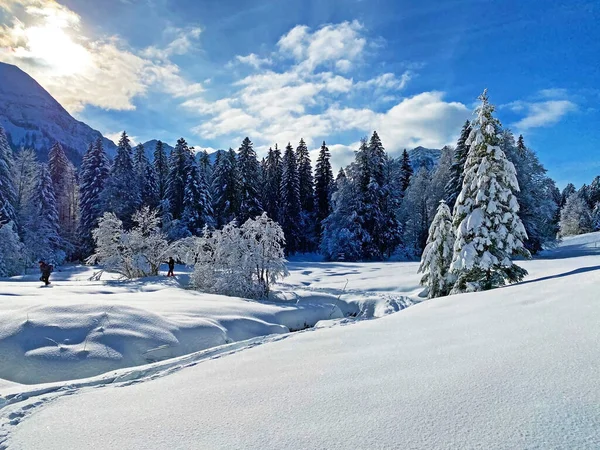 Traumhafte Und Perfekte Natürliche Silvester Bergatmosphäre Herzen Der Schweizer Alpen — Stockfoto