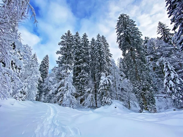 Fantástica Perfeita Atmosfera Natural Montanha Inverno Ano Novo Coração Dos — Fotografia de Stock
