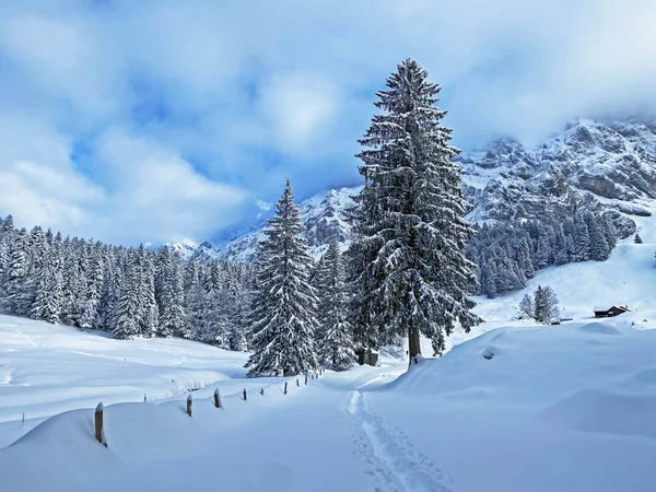Fantastická Dokonalá Přírodní Silvestrovská Zimní Horská Atmosféra Srdci Švýcarských Alp — Stock fotografie