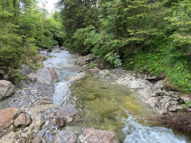 Chaeswaldtobel bölgesinde ve ormanın altında Alp deresi ve Chaeswald, Oberiberg - Schwyz Kantonu, İsviçre (Kanton Schwyz, Schweiz)
