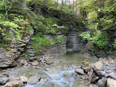 Chaeswaldtobel bölgesinde ve ormanın altında Alp deresi ve Chaeswald, Oberiberg - Schwyz Kantonu, İsviçre (Kanton Schwyz, Schweiz)