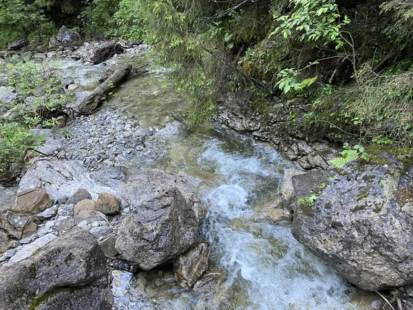 Arroyo Alpino Zona Chaeswaldtobel Bajo Bosque Chaeswald Oberiberg Cantón Schwyz — Foto de Stock