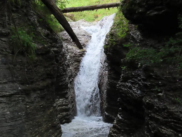 Una Cascada Arroyo Alpino Zona Chaeswaldtobel Bajo Bosque Chaeswald Oberiberg —  Fotos de Stock