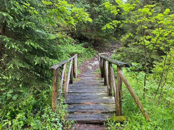 Small Wooden Bridges Forest Alpine Streams Iberig Region Oberiberg Canton — Stock Photo, Image