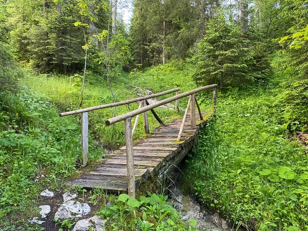 Small Wooden Bridges Forest Alpine Streams Iberig Region Oberiberg Canton — Stock Photo, Image