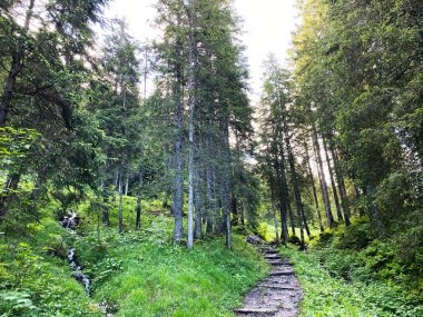 Schwyz Alpleri 'ndeki Iberig bölgesinde yürüyüş, yürüyüş, spor ve dinlenme yolları, Oberiberg - Schwyz Kantonu, İsviçre (Kanton Schwyz, Schweiz)
