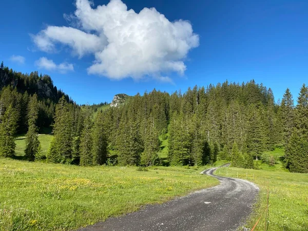 Sentiers Randonnée Pédestre Sportive Récréative Sur Région Iberig Dans Massif — Photo