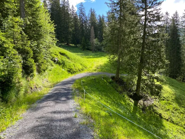 Trails Walking Hiking Sports Recreation Iberig Region Schwyz Alps Mountain — 스톡 사진