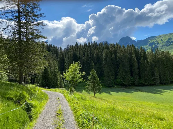 Trails Walking Hiking Sports Recreation Iberig Region Schwyz Alps Mountain — Stock Photo, Image