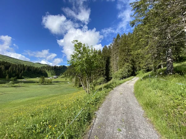 Trails for walking, hiking, sports and recreation over the Iberig region in the Schwyz Alps mountain massif, Oberiberg - Canton of Schwyz, Switzerland (Kanton Schwyz, Schweiz)