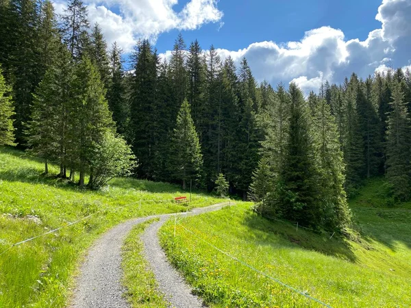 Trails for walking, hiking, sports and recreation over the Iberig region in the Schwyz Alps mountain massif, Oberiberg - Canton of Schwyz, Switzerland (Kanton Schwyz, Schweiz)