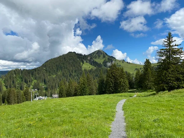 Wander Sport Und Erholungswege Über Die Iberigregion Den Schwyzer Alpen — Stockfoto