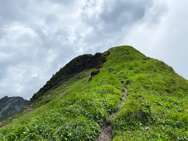 Trails for walking, hiking, sports and recreation over the Iberig region in the Schwyz Alps mountain massif, Oberiberg - Canton of Schwyz, Switzerland (Kanton Schwyz, Schweiz)