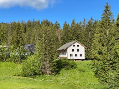 Schwyz Alp Dağları 'ndaki Iberig bölgesinde bulunan Fuederegg adlı turizm ve dinlenme alp bölgesi İsviçre' nin Schwyz Kantonu (Kanton Schwyz, Schweiz))